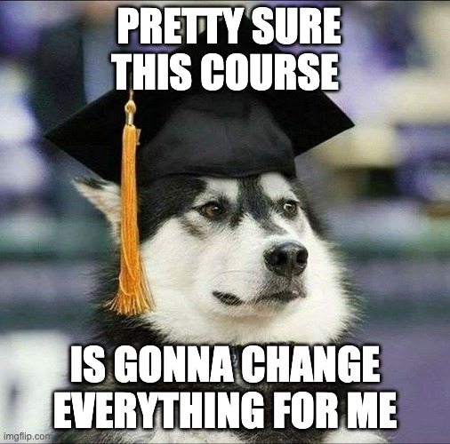 Image of a husky in a graduation cap